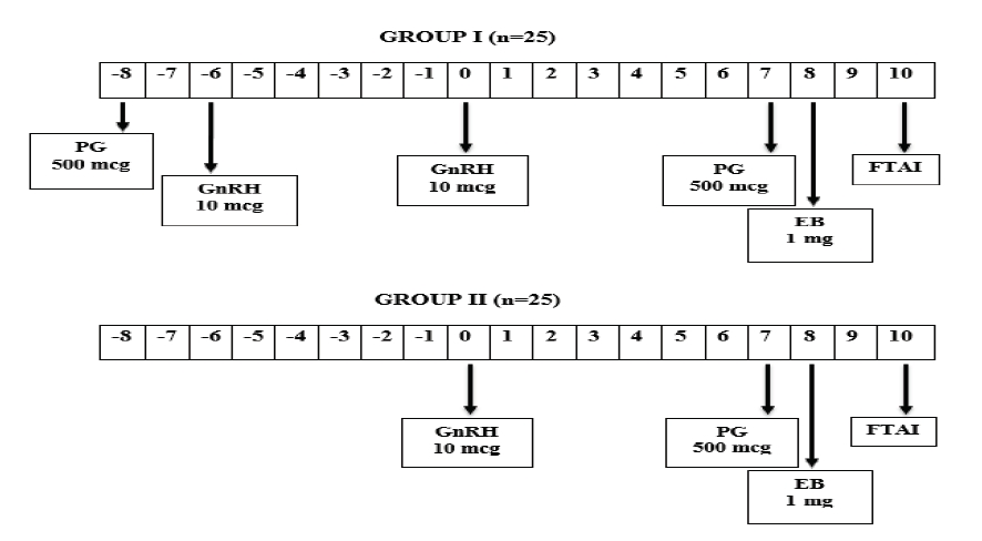 Estradiol based estrus synchronization protocols for fixed time artificial insemination in buffaloes. ( US: Ultrasonography, BS: Blood Sampling, PG: Prostaglandin, GnRH: Gonadotropin-Releasing Hormone, EB: Estradiol Benzoate, FTAI: Fixed Time Artificial Insemination, PD: Pregnancy Diagnosis).