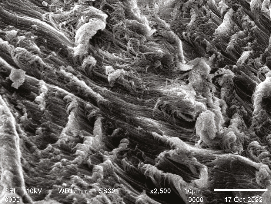 Closely aligned collagenous fibres with presence of pores with increased diameter.