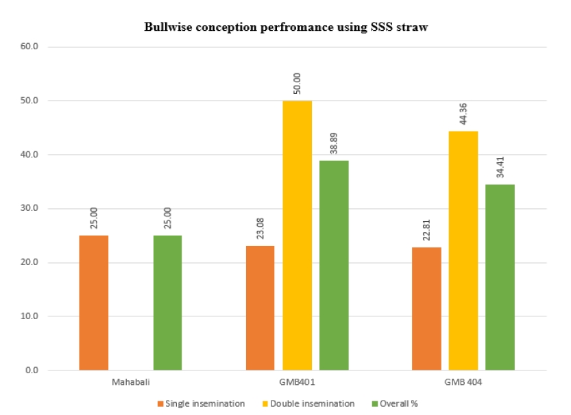 Bull wise conception performance using sex sorted semen straws straws.