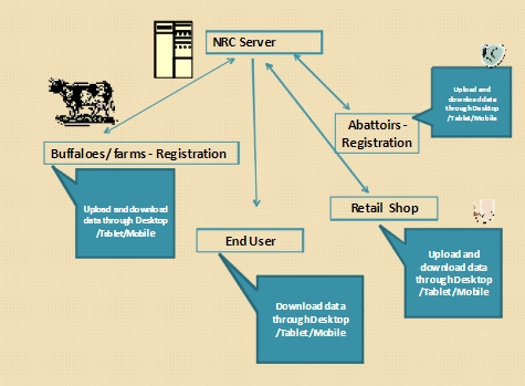 web-based traceability system