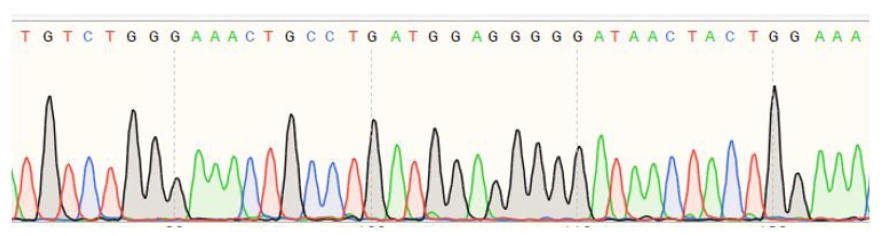 Chromatogram of sequence results.