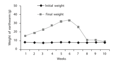 Figure 1 Changes of earthworm weight during municipal solid waste compost processing