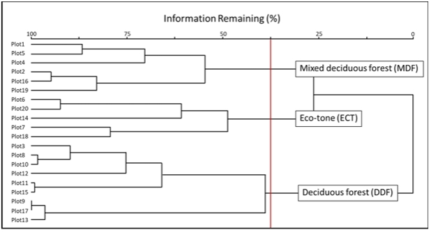 The dendrogram based on tree species in each sample plot of Tham Singha recreational forest.