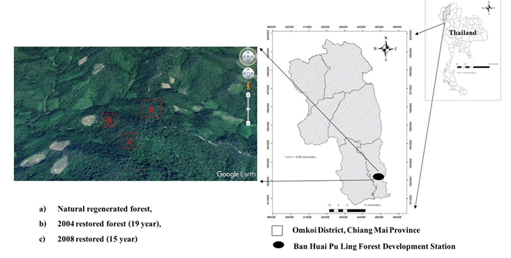 Location of study area at Ban Huai Pu Ling Forest Development Station, Chiang Mai province.