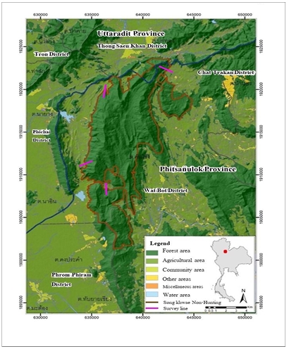 Layout of line transect systems for bird observation at Song Kwae Non-Hunting area.