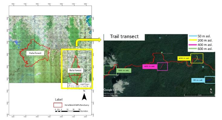Study area at Bala Forest in Hala - Bala Wildlife Sanctuary, Narathiwat province.