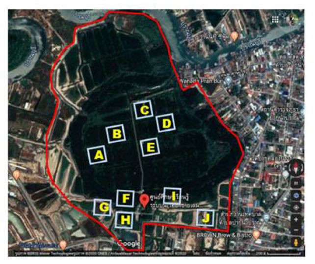 Location of study area and Sample plots of 100 x 100 meters, 10 plots (Plots A, B, C, D, E = Mangrove Forest Plantation, Plot F, I = Natural Mangrove Forest, Plot H = Avicennia sub-community and Plot G, J = Abandoned Shrimp Farms).