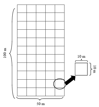 Lay out of permanent plot.
