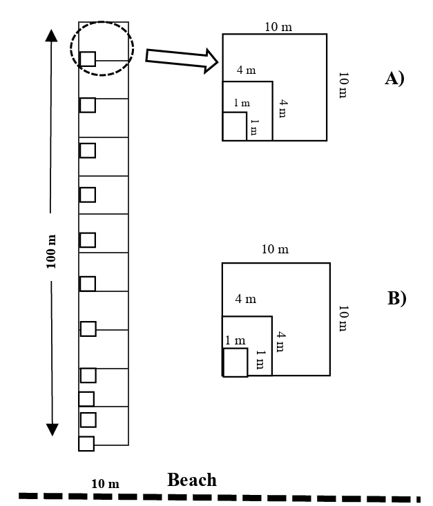 Plot sampling establishment; A) permanent plot in less disturbed beach forest and B) temporary plot in nature trails.