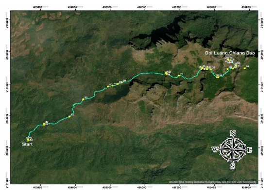 Sampling plots for observing invasive alien species along the nature trail of Doi Luang Chiang Dao.