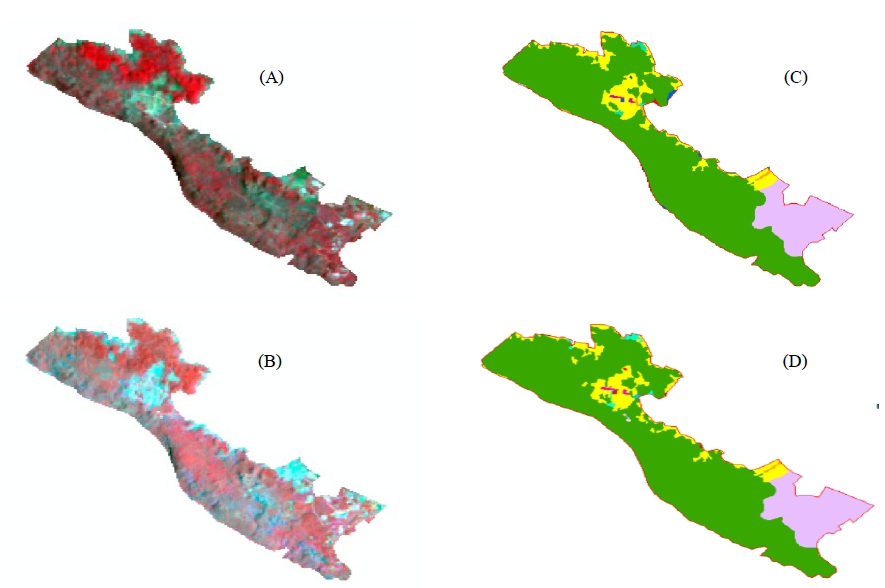 Map derived from satellite imagery Landsat 8 False color in 2014 (A) and 2024 (B), and land-use map calibrated using satellite imagery data in 2014 (C) and 2024 (D), respectively.
