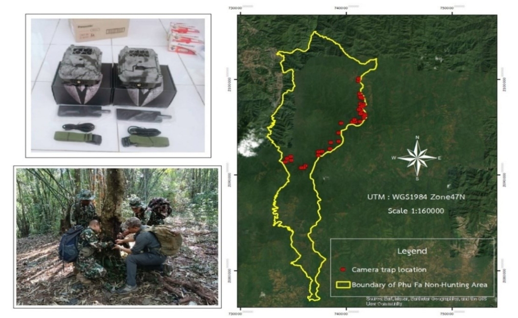 Camera trap stations in Phu Fa Non-Hunting Area during November 2024 – October 2025.