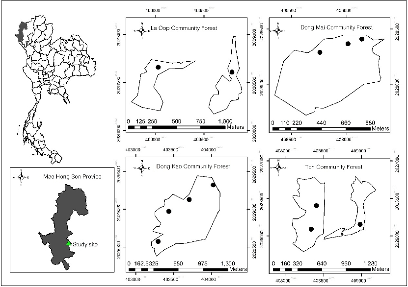 Study area and sample points of lower montane forest in Mae La Noi District, Mae Hong Son Province