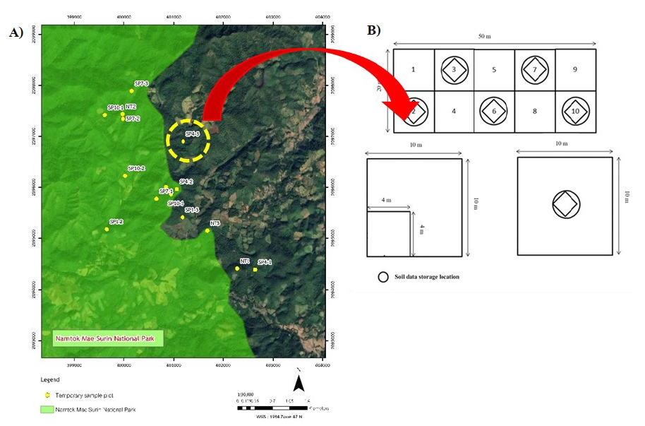 Study areas and sampling plots were shown; A) locations of sampling plots in different stages of shifting cultivation fallows and natural forest, (B) layout and dimensions of sampling plots used for vegetation and soil samples collection.